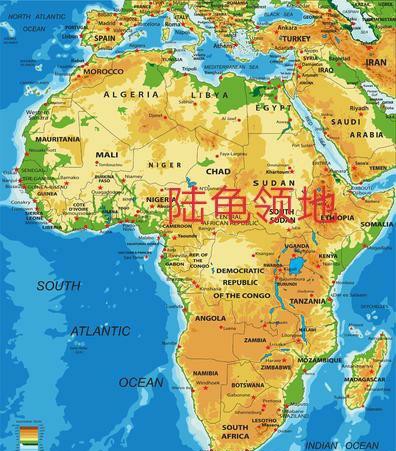 乌龟生活在哪里