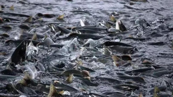 不想打工想自己创业不知道做什么好