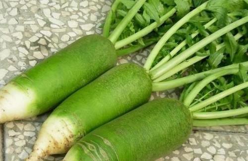 简述萝卜产生空心原因和防止对策