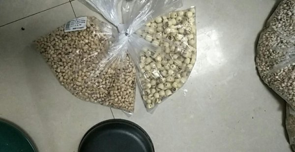 家里放一物绝对没虫子