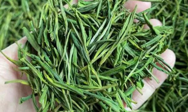 200一斤的茶叶算不算好
