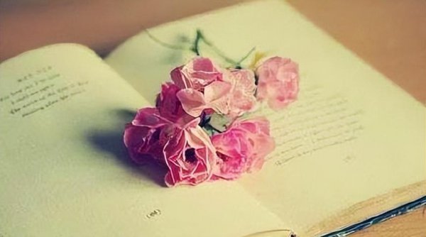 木桶效应揭示了什么道理