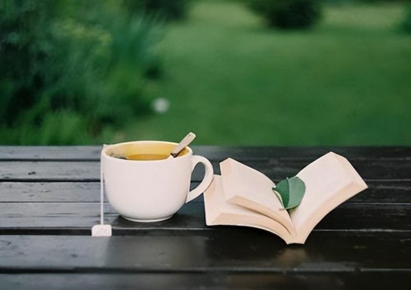 木桶效应揭示了什么道理