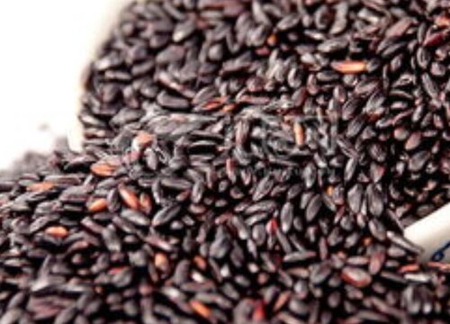 染色黑米和真黑米区别