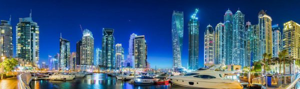 沙特和迪拜不是一个国家吗