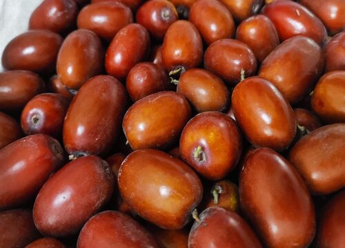 红枣的储存方法