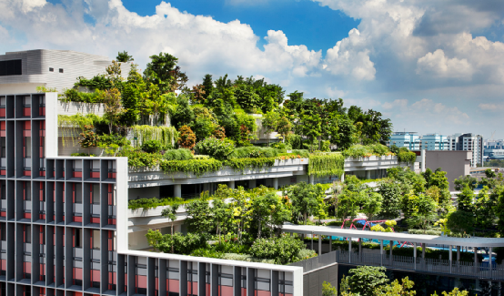 新加坡是什么气候类型及特点