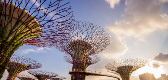 新加坡是什么气候类型及特点