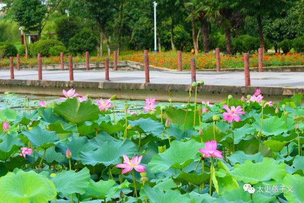 沭阳是哪个省哪个城市