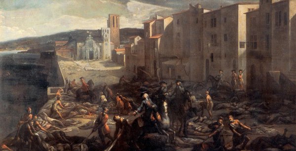 猫为什么喜欢吃老鼠