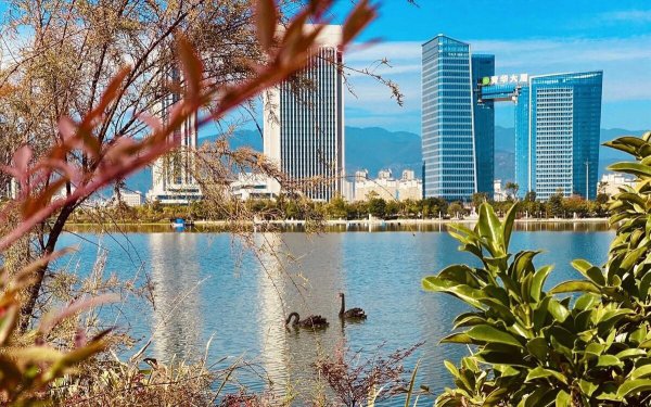 中国夏天不热的城市有哪些