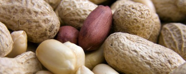 花生和大蒜能一起吃吗