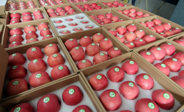 苹果保存方法以及温度