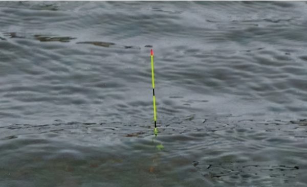 有口无鱼怎么调整浮漂