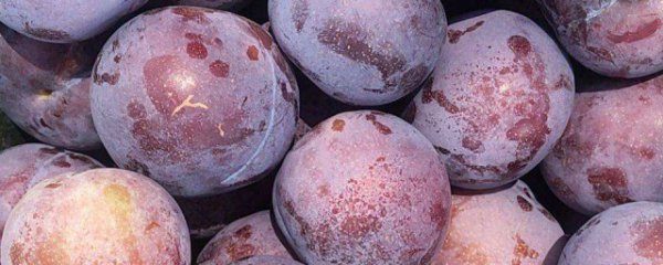 黑布仑怎么挑才甜呢