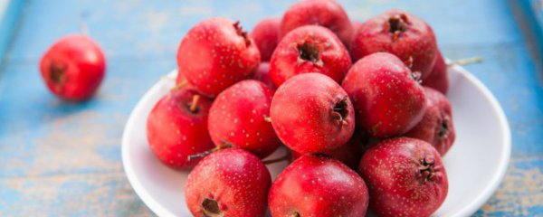 山楂几月份成熟上市