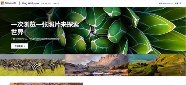 电脑壁纸软件哪个好用