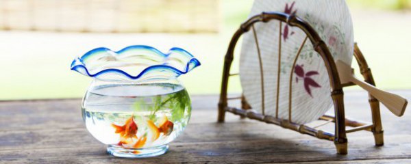 鱼缸玻璃多久能清洗干净