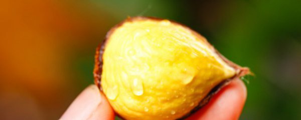 开封糖水栗子保存方法