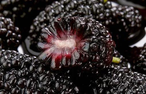 四月份水果都有什么呢