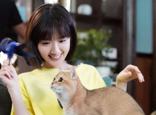 三十而已每个人的结局是什么