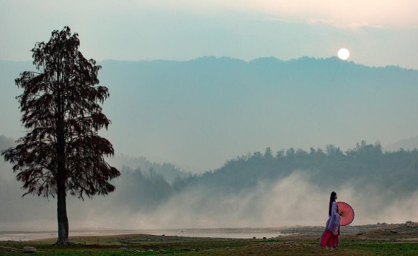 夏虫不可语冰是什么意思