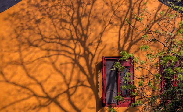 夏虫不可语冰是什么意思