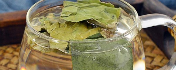 冬瓜荷叶茶隔夜能喝吗