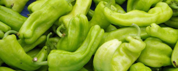 青辣椒如何保鲜