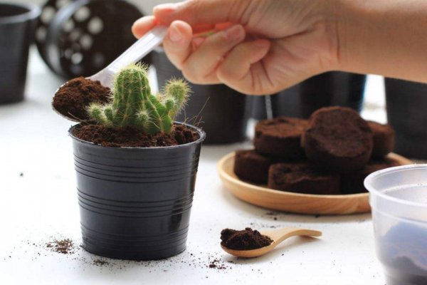 咖啡渣的10种用途妙不可言