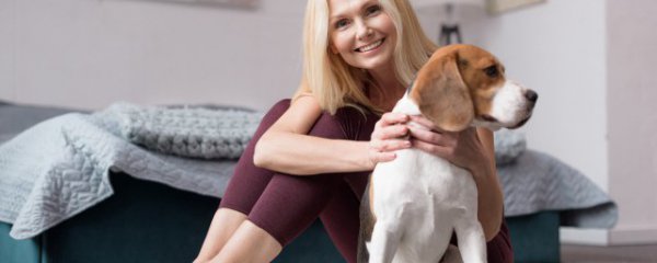 家里没地方养狗怎么办