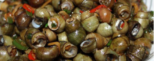 新鲜泥螺怎么做醉泥螺