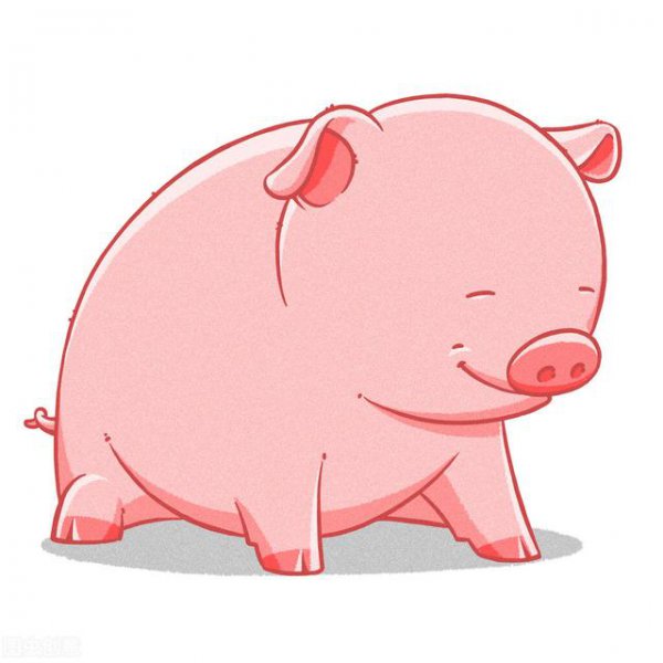 十二生肖哪个生肖睡不着