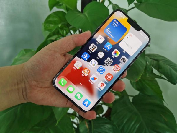 苹果13和13promax区别