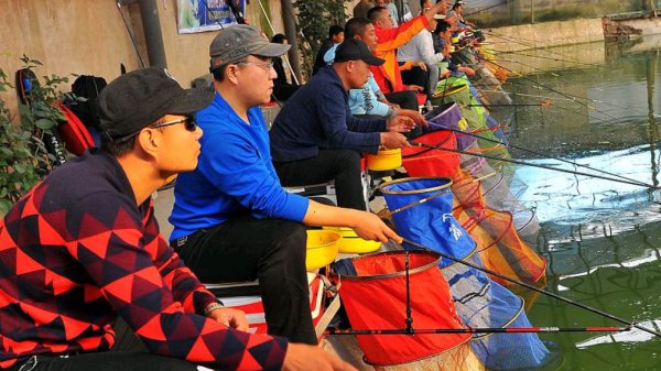 新手钓鱼的鱼竿怎么选