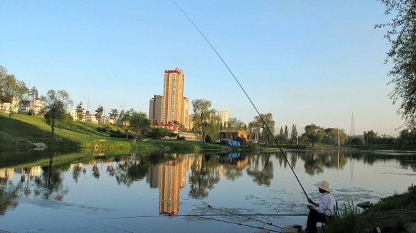 新手钓鱼的鱼竿怎么选