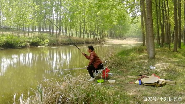 新手钓鱼的鱼竿怎么选