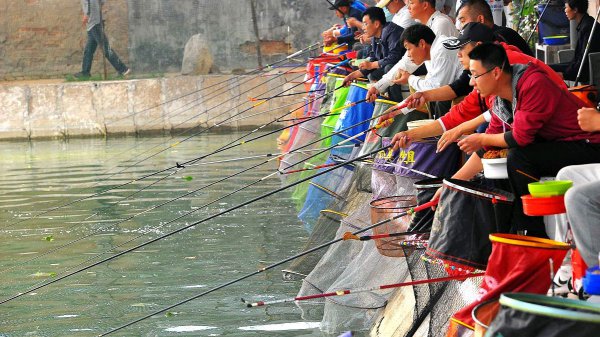 新手钓鱼的鱼竿怎么选