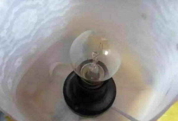 用一个矿泉水瓶子做手工