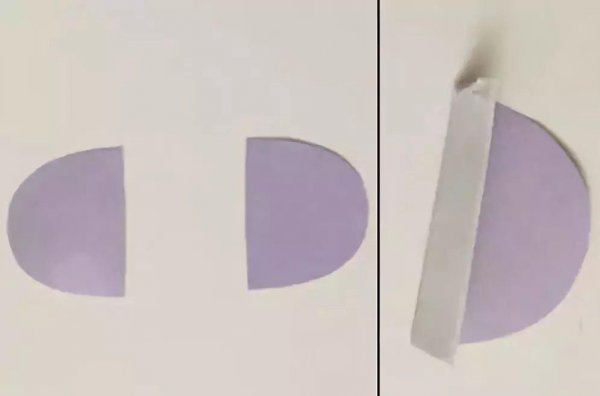 用一个矿泉水瓶子做手工