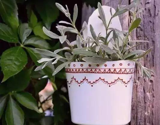 用一个矿泉水瓶子做手工