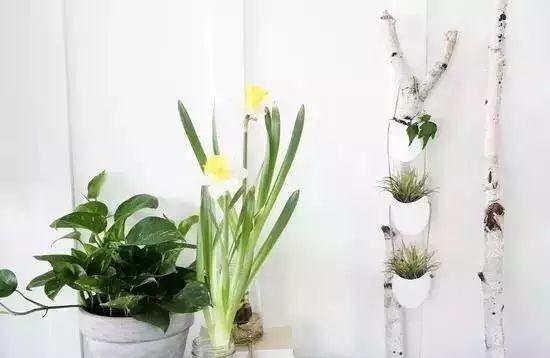 用一个矿泉水瓶子做手工