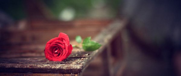 提升感情的36个问题