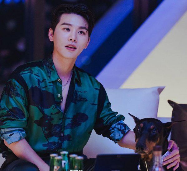 最近好看的韩剧2023排行榜