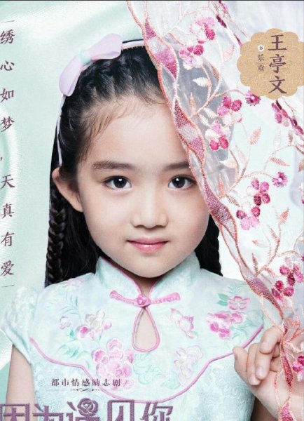 王亭文个人资料图片