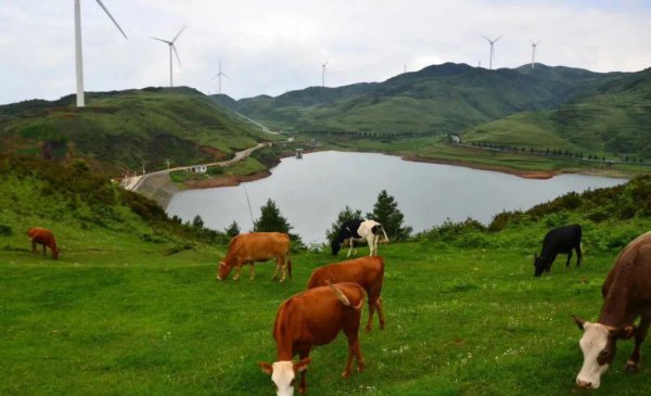 盘州市属于哪个市