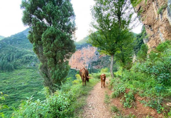 盘州市属于哪个市