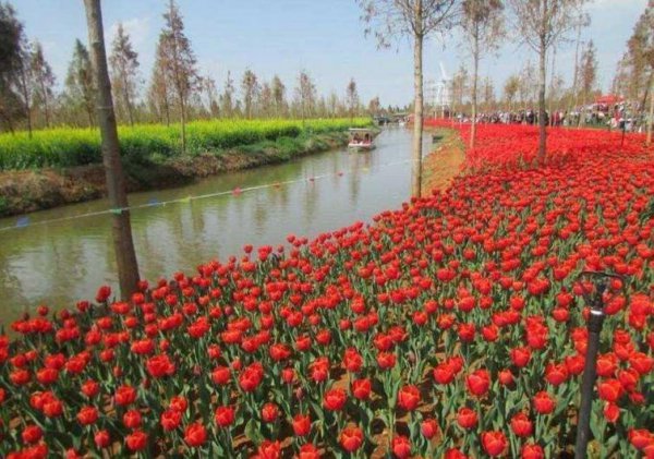 昆明周边旅游攻略景点大全