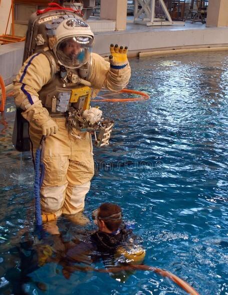 陆地上最大的动物