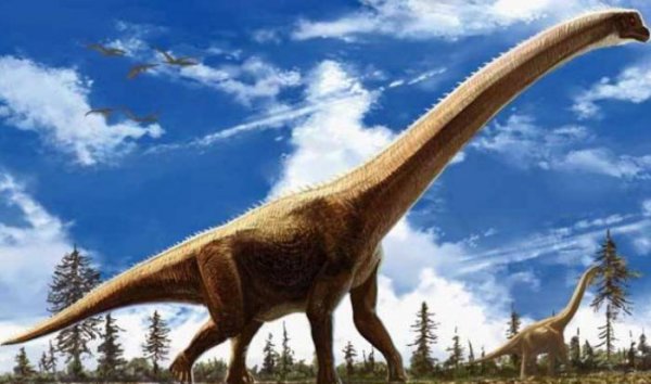 陆地上最大的动物